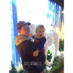 Ce qui a&nbsp;changé…