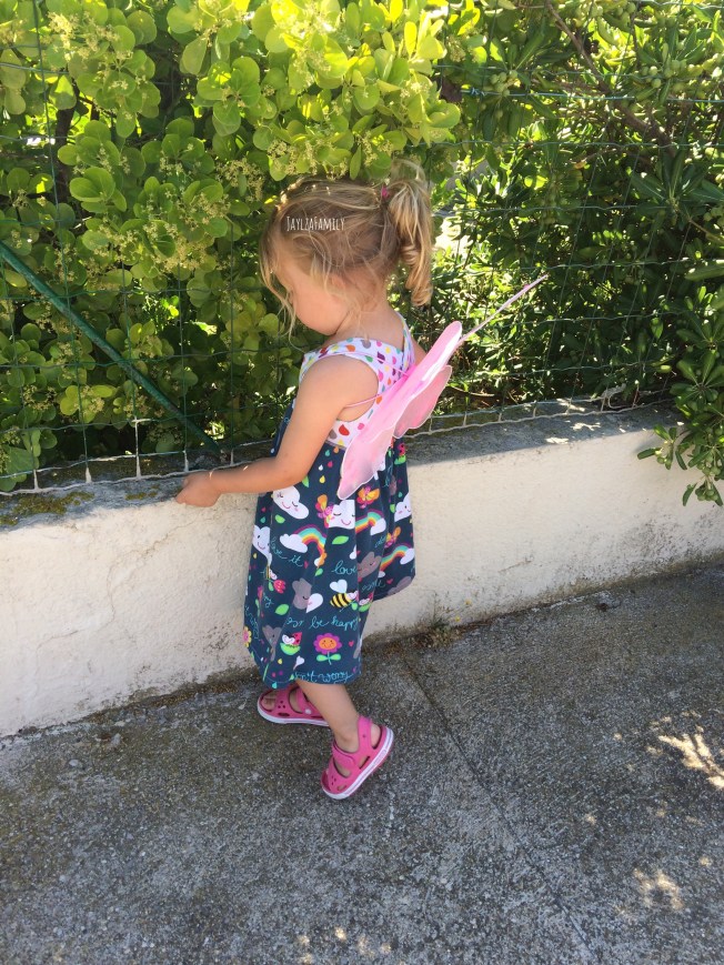 Les pépites de Lakshmi