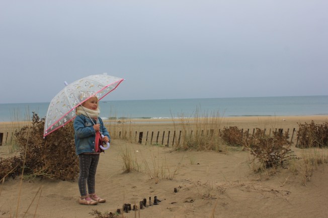 Parapluie licorne Pylones