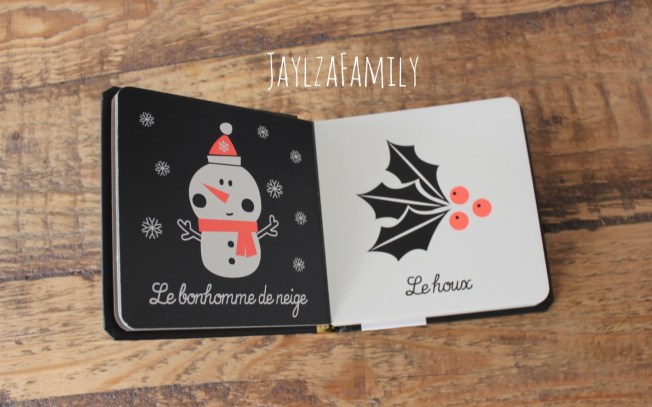 Lecture jeunesse Nathan Langue au chat Deux coqs d'or