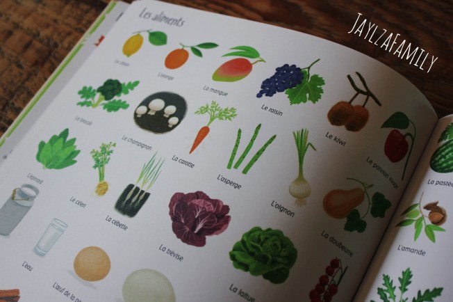 1000 choses à découvrir dans la nature Usborne