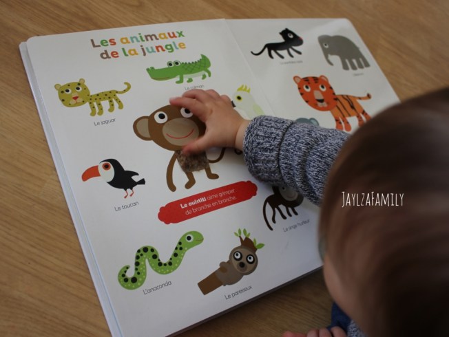 Mes premiers animaux à toucher, Auzou Eveil; on imagier-accordéon de la mer, Tourbillon; Mon imagier des contraires Kididoc, Nathan.