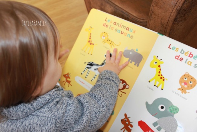 Mes premiers animaux à toucher, Auzou Eveil; on imagier-accordéon de la mer, Tourbillon; Mon imagier des contraires Kididoc, Nathan.