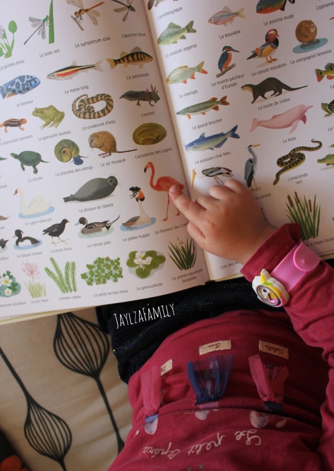 1000 choses à découvrir dans la nature Usborne