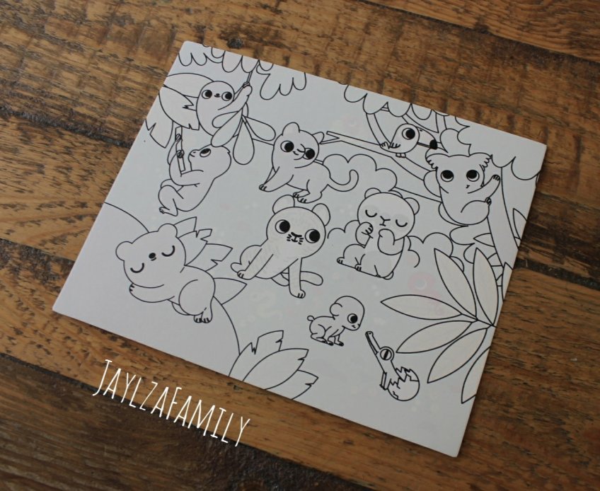 Ma première pochette d'artiste Ma peinture magique Bébés animaux Auzou