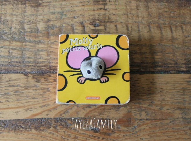 Molly petite souris Casterman, L'océan soulève les volets! Piccolia, Mon imagerie en questions réponses Les p'tits incollables Play Bac