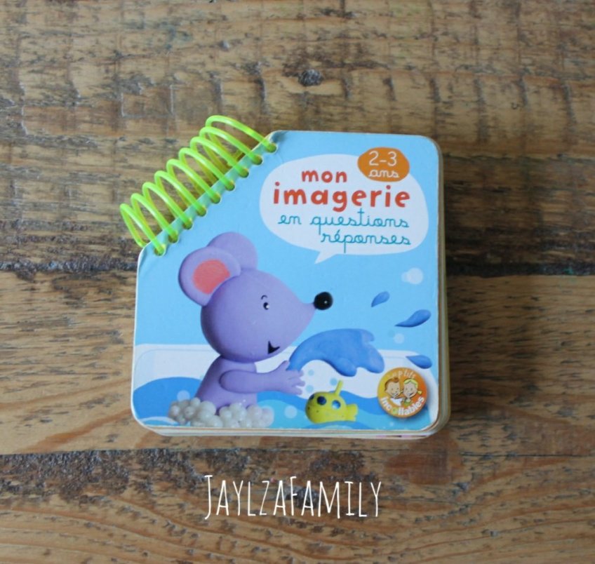 Molly petite souris Casterman, L'océan soulève les volets! Piccolia, Mon imagerie en questions réponses Les p'tits incollables Play Bac